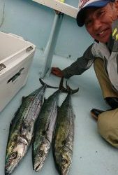 KONAYAーMARU(こなや丸) 釣果