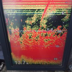 深川 吉野屋 釣果