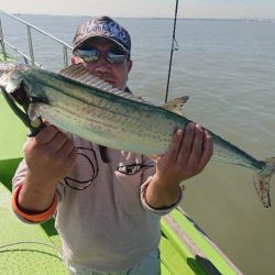 深川　吉野屋 釣果