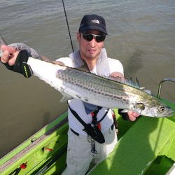 深川 吉野屋 釣果