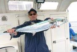 KONAYAーMARU(こなや丸) 釣果