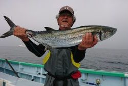 KONAYAーMARU(こなや丸) 釣果