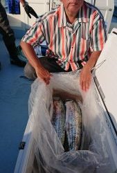 KONAYAーMARU(こなや丸) 釣果