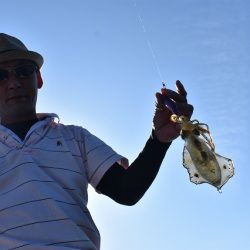 Fisherman Dreams DI 釣果