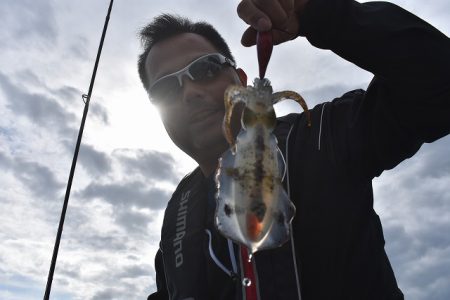 Fisherman Dreams DI 釣…