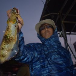 Fisherman Dreams DI 釣果