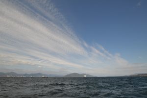 アジアマリンサービス 釣果