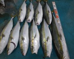 アジアマリンサービス 釣果