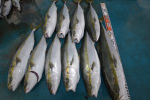 アジアマリンサービス 釣果