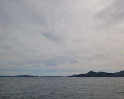 アジアマリンサービス 釣果