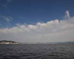 アジアマリンサービス 釣果