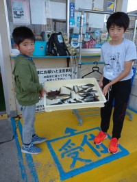 和歌山マリーナシティ釣り公園 釣果