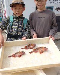 和歌山マリーナシティ釣り公園 釣果