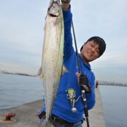 武庫川一文字にてサワラ・良型太刀魚連発！