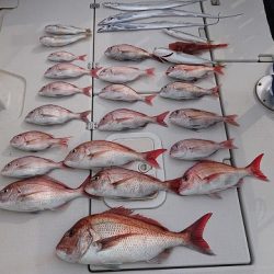 フィッシングボートACE(エース) 釣果