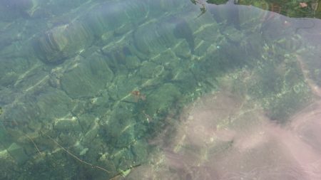 まるいち丸 ZERO-1 釣果