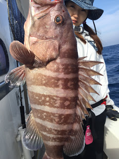 凪紗丸 釣果