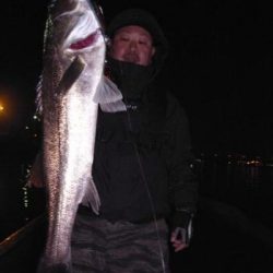 シーマジカル 釣果