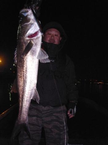 シーマジカル 釣果