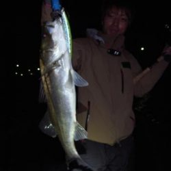 シーマジカル 釣果