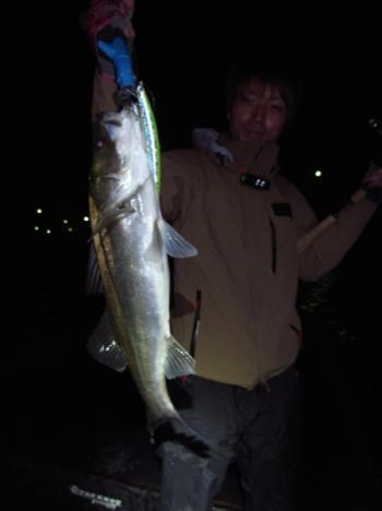 シーマジカル 釣果