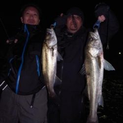 シーマジカル 釣果