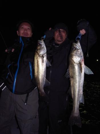 シーマジカル 釣果