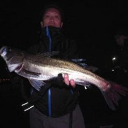 シーマジカル 釣果