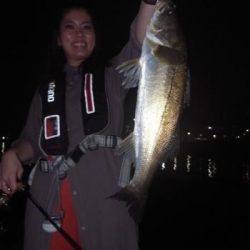 シーマジカル 釣果