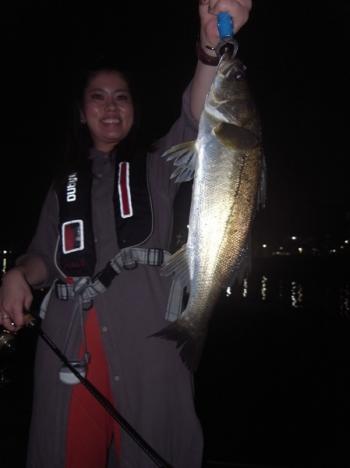 シーマジカル 釣果