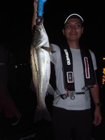 シーマジカル 釣果