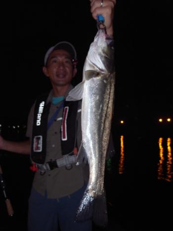 シーマジカル 釣果