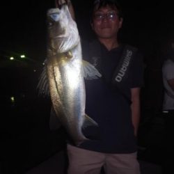 シーマジカル 釣果