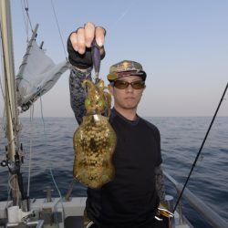 まるいち丸 ZERO-1 釣果