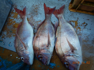 作十丸 釣果