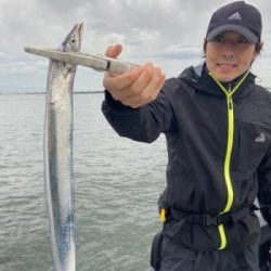 シーマジカル 釣果