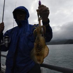 まるいち丸 ZERO-1 釣果