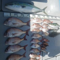 磯部釣船 直栄丸 釣果