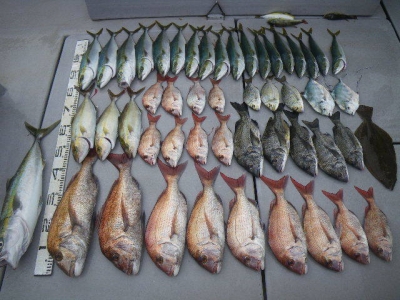 磯部釣船 直栄丸 釣果