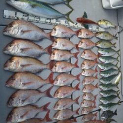 磯部釣船 直栄丸 釣果