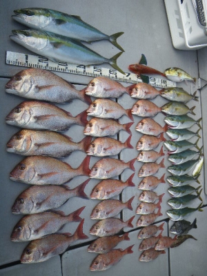 磯部釣船 直栄丸 釣果