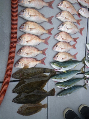 磯部釣船 直栄丸 釣果