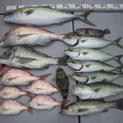 磯部釣船 直栄丸 釣果