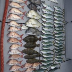 磯部釣船 直栄丸 釣果