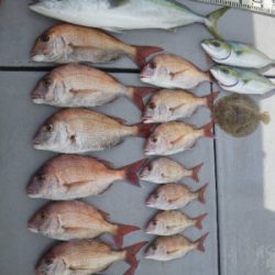 磯部釣船 直栄丸 釣果