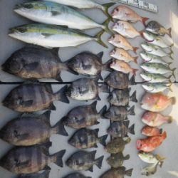 磯部釣船 直栄丸 釣果