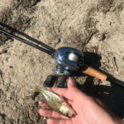 電車でのんびり青野ダム【メガバス（Megabass）トライザ　インプレッション】