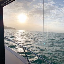 フィシングボートAir(エアー) 釣果