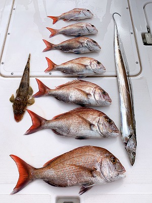 フィシングボートAir(エアー) 釣果