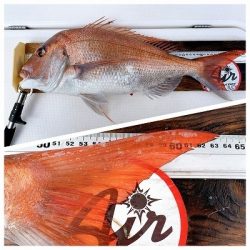 フィシングボートAir(エアー) 釣果